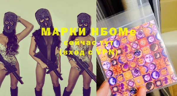 прущие грибы Балабаново