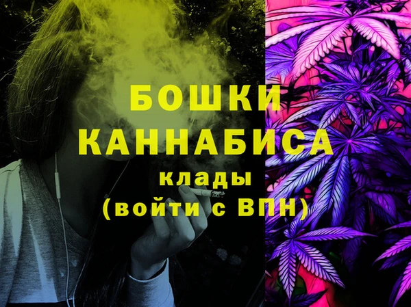 прущие грибы Балабаново