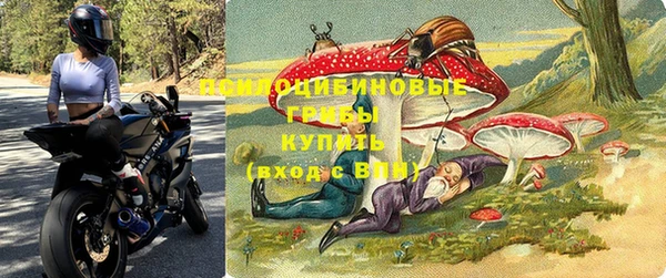 ALPHA PVP Баксан