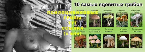 прущие грибы Балабаново