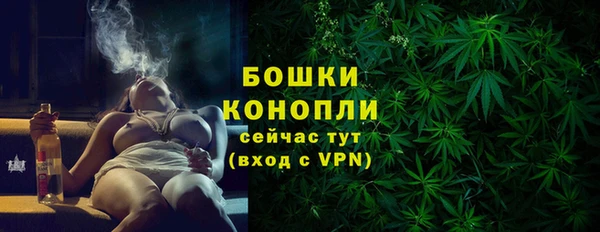 прущие грибы Белокуриха
