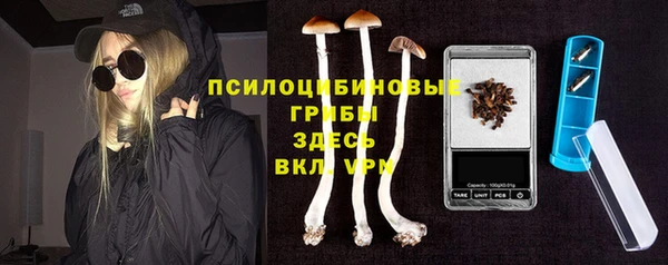 прущие грибы Белокуриха