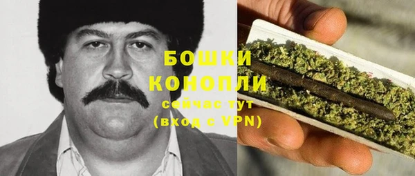 прущие грибы Балабаново
